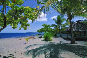 An Oceanfront Land/Lot with sandy Beach in the Osa Peninsula by The Osa Peninsula Properties Real Estate Office in Puerto Jimenez