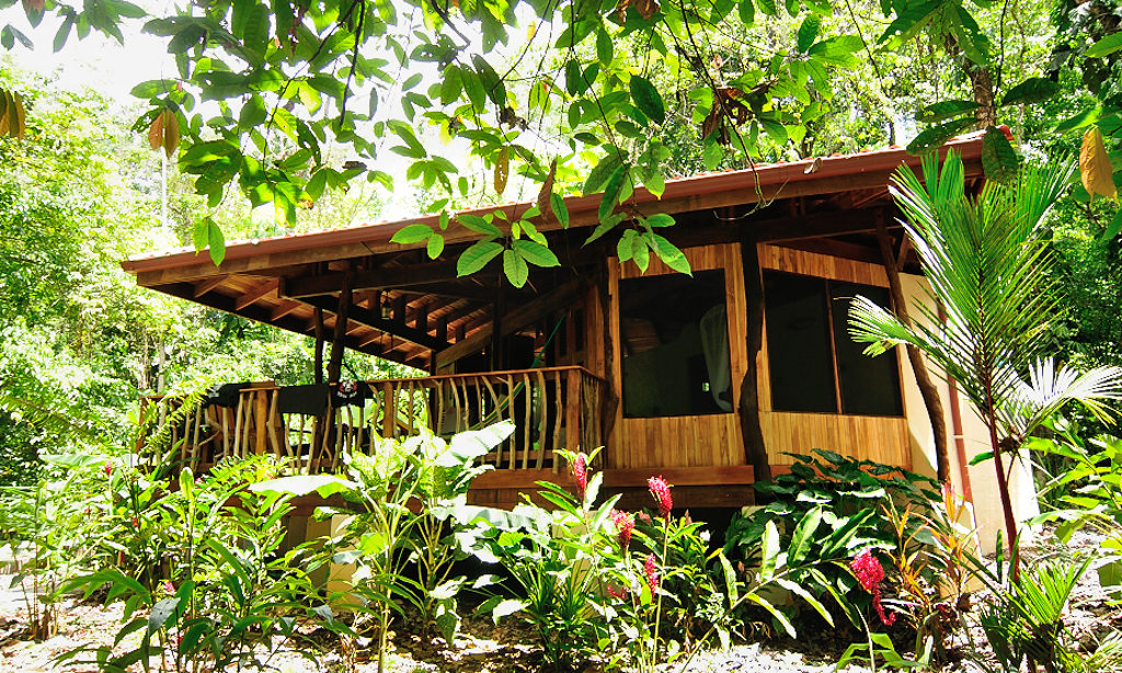 A Lodge Built by Rarewood General Contractor in Puerto Jimenez Osa Peninsula